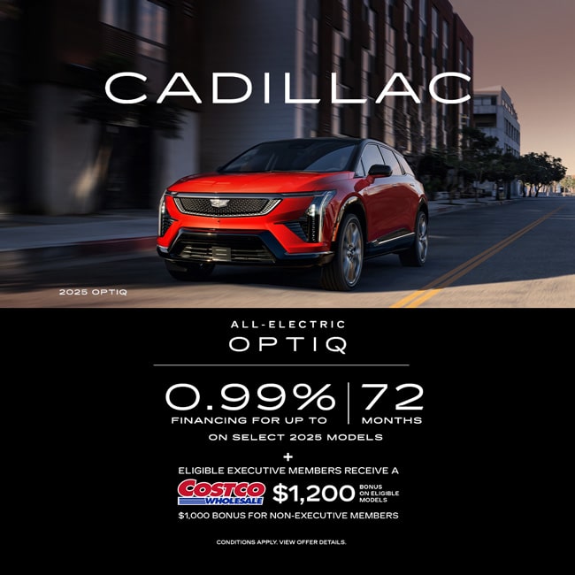 2025 Optiq